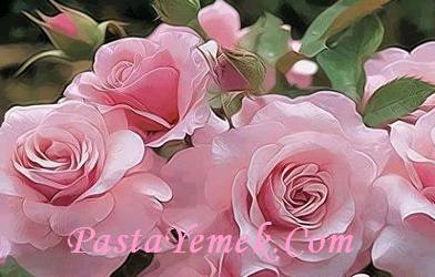 Bir Kadın Giderse Evden Her Şey Gider