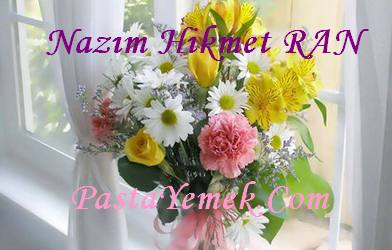 Nazım Hikmet RAN Şiirleri