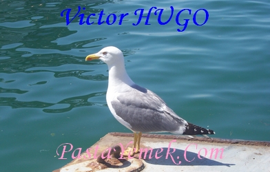 Victor HUGO Şiirleri