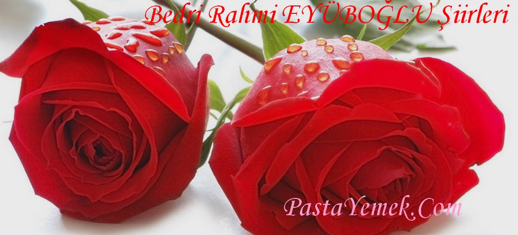 Bedri Rahmi EYÜBOĞLU Şiirleri